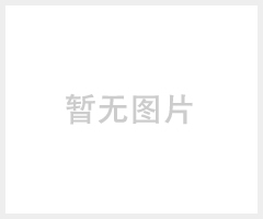 DB9PM/F TO 宝马20P连接器